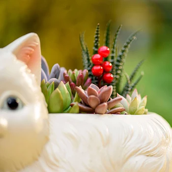 Nordic Tvorivé Živice Cute Cat Cartoon Zvierat Dekorácie Obývacia Izba Balkón Succulents Domov Zariadených Ozdoby