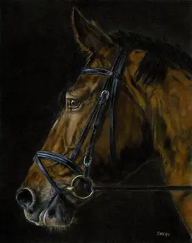 Ručne vyrábané Podpísaný Originál olejomaľby Bay Sfarbený kôň Portrét