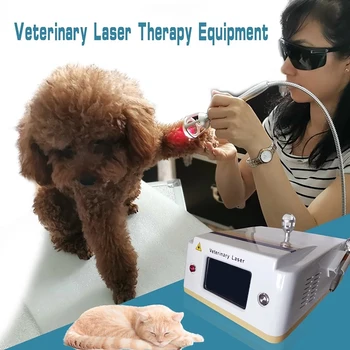 Veterinárne Laserovú Terapiu zariadenia pet Laser Úľavu od Bolesti, laserová Terapia bolesti stroj pre domáce